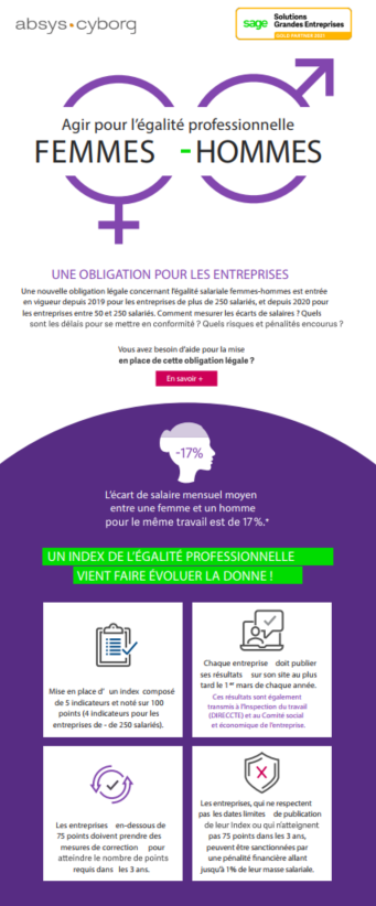 Visuel infographie agir pour l'égalité professionnelle Femmes - Hommes