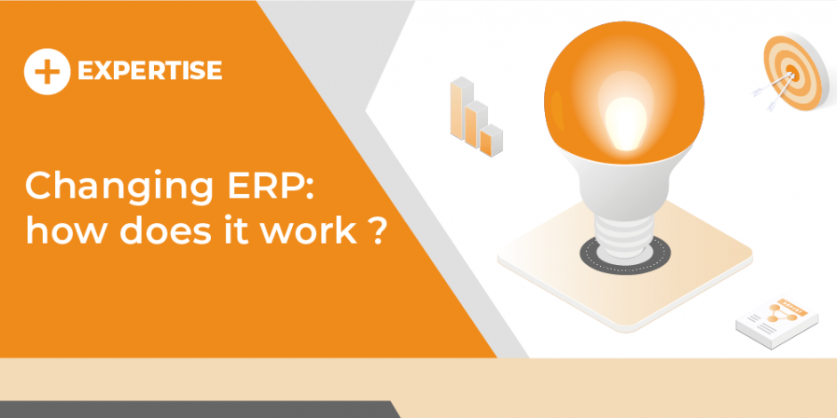 vignette changing erp how does it work