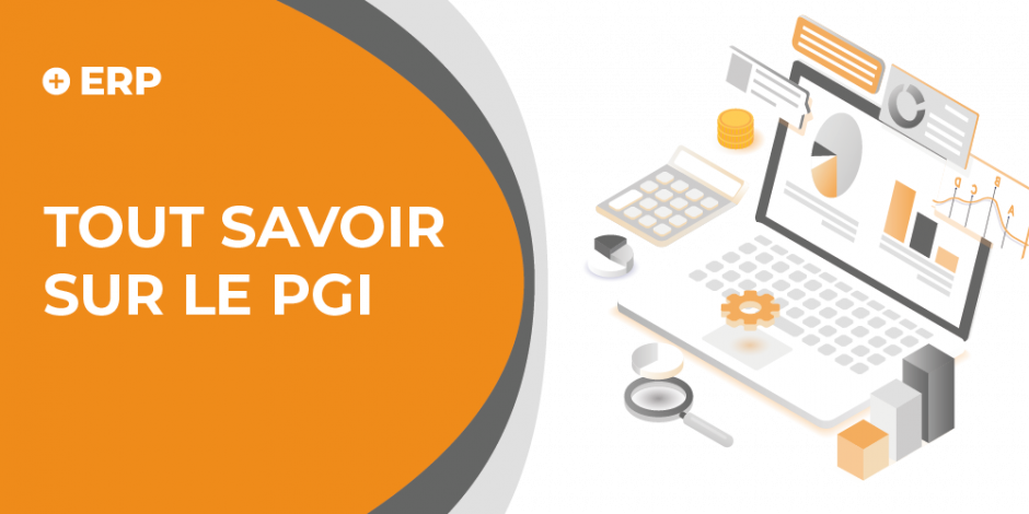 vignette qu'est ce qu'un pgi ? 