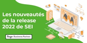 vignette absys cyborg sage les nouveautes de la release 2022 de sei vignette pour article actualite nouveautes de la release 2022 de sei