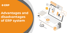 panel for the article about advantages and disadvantages of erp system