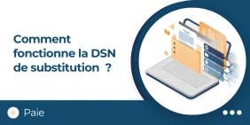 vignette illustrant l'article comment fonctionne la dsn de substitution